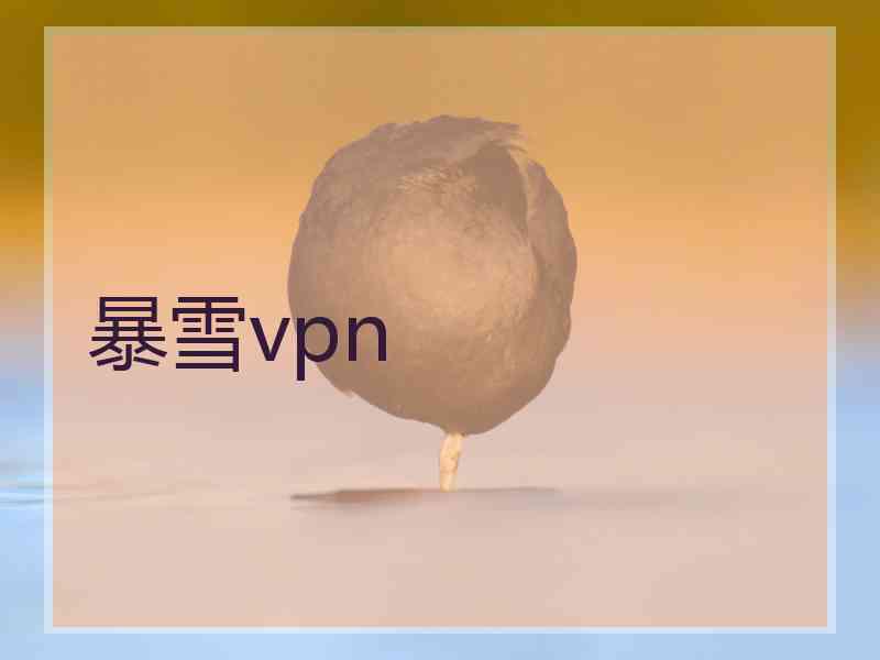 暴雪vpn