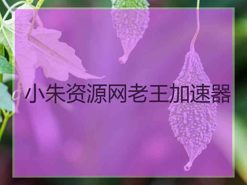 小朱资源网老王加速器