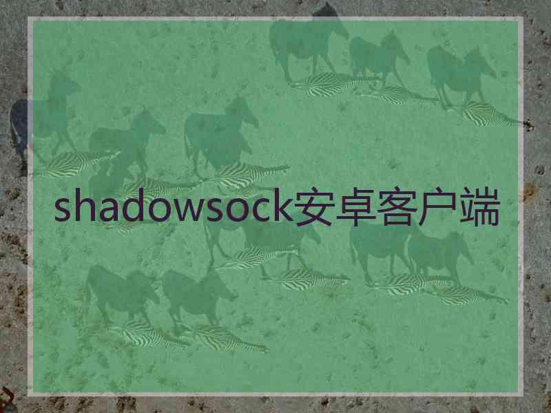 shadowsock安卓客户端