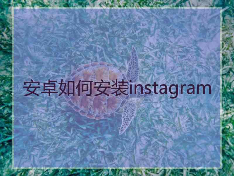 安卓如何安装instagram