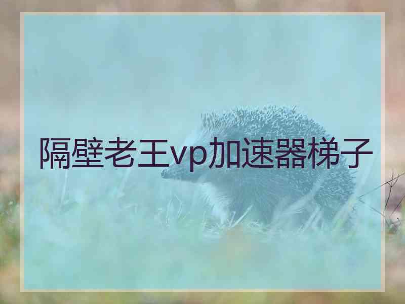 隔壁老王vp加速器梯子