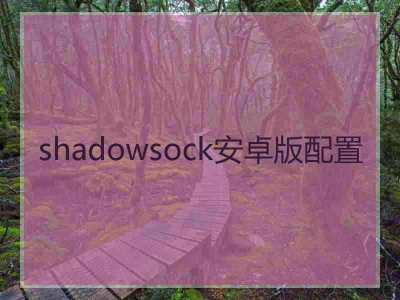 shadowsock安卓版配置