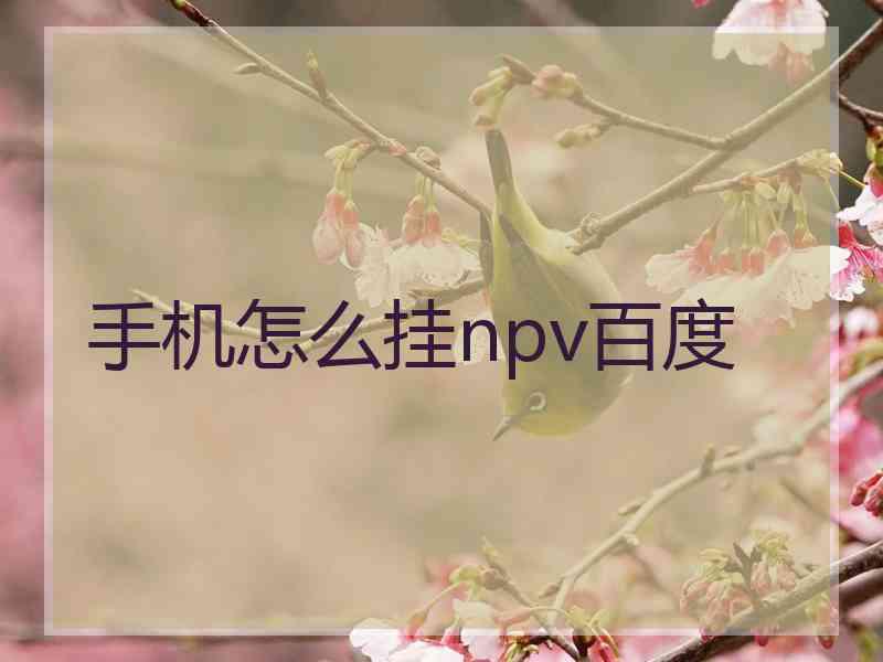 手机怎么挂npv百度