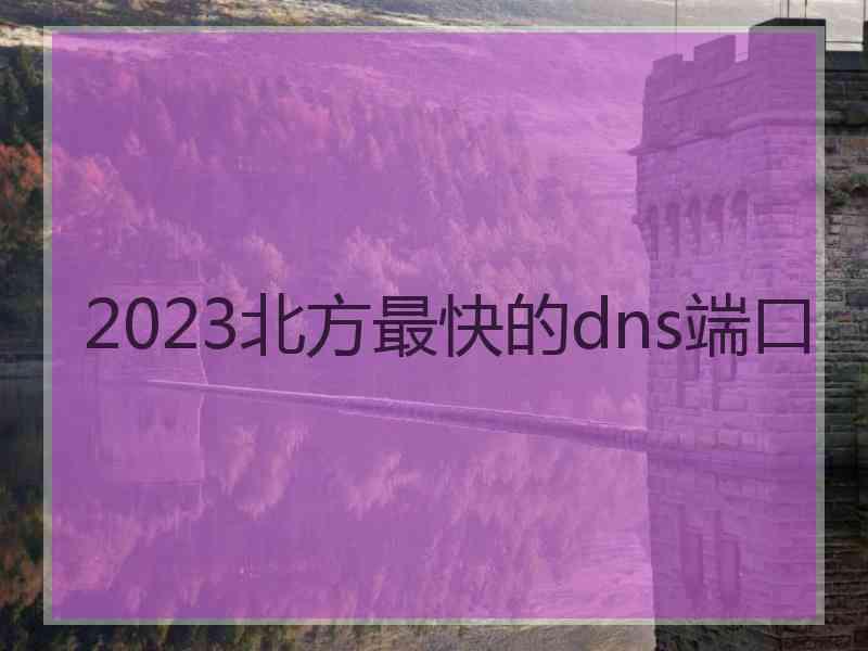 2023北方最快的dns端口