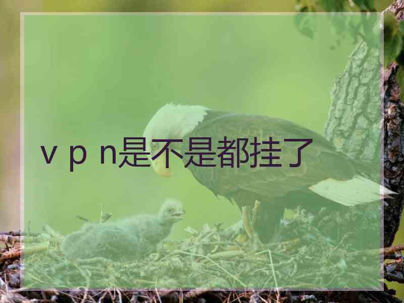 v p n是不是都挂了