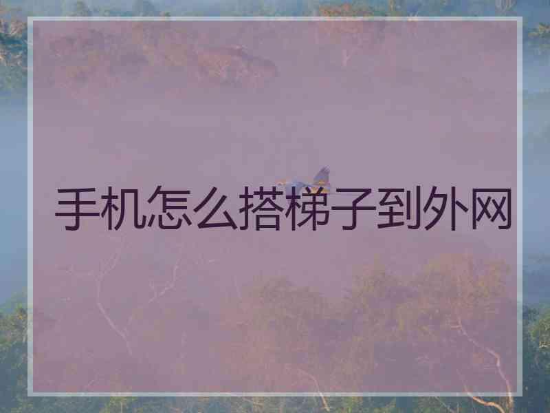 手机怎么搭梯子到外网