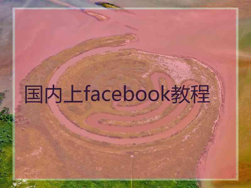 国内上facebook教程