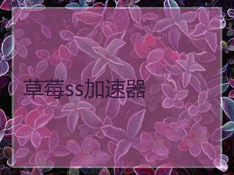 草莓ss加速器