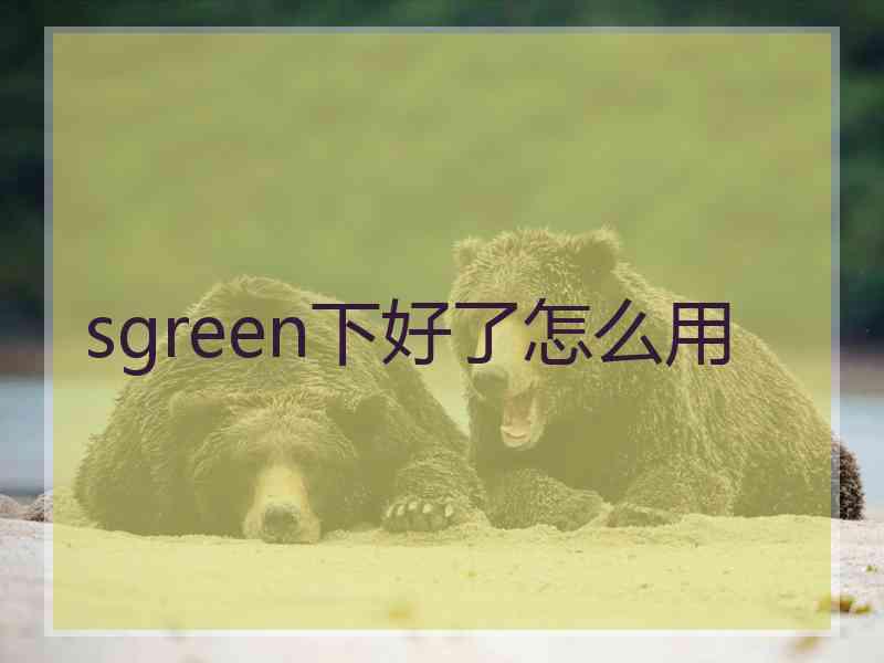 sgreen下好了怎么用