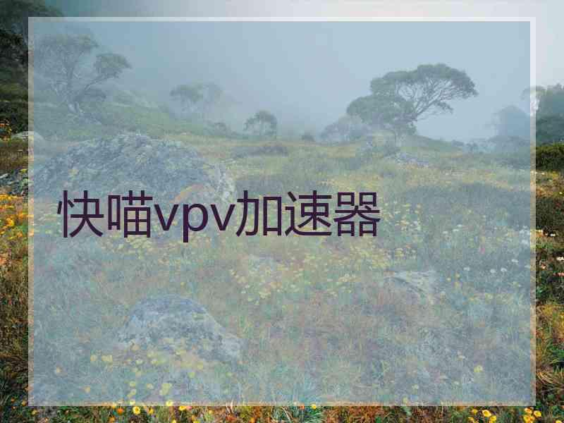 快喵vpv加速器