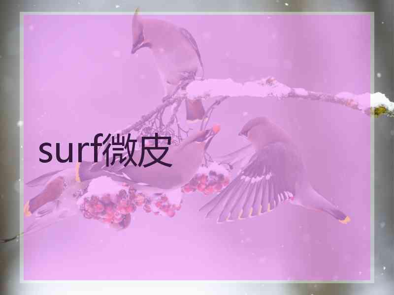 surf微皮