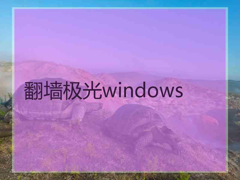 翻墙极光windows