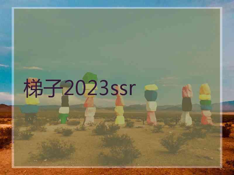 梯子2023ssr