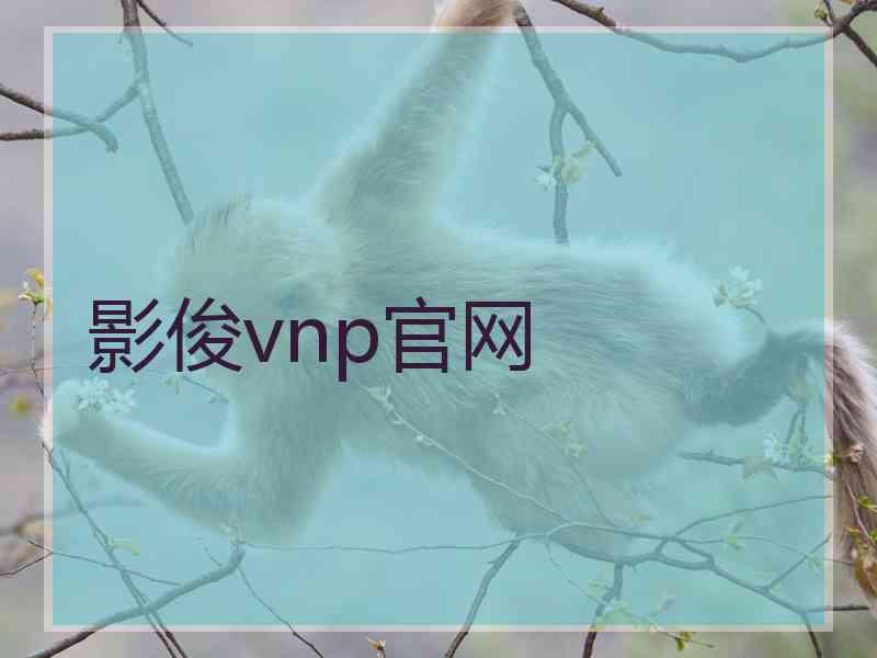 影俊vnp官网