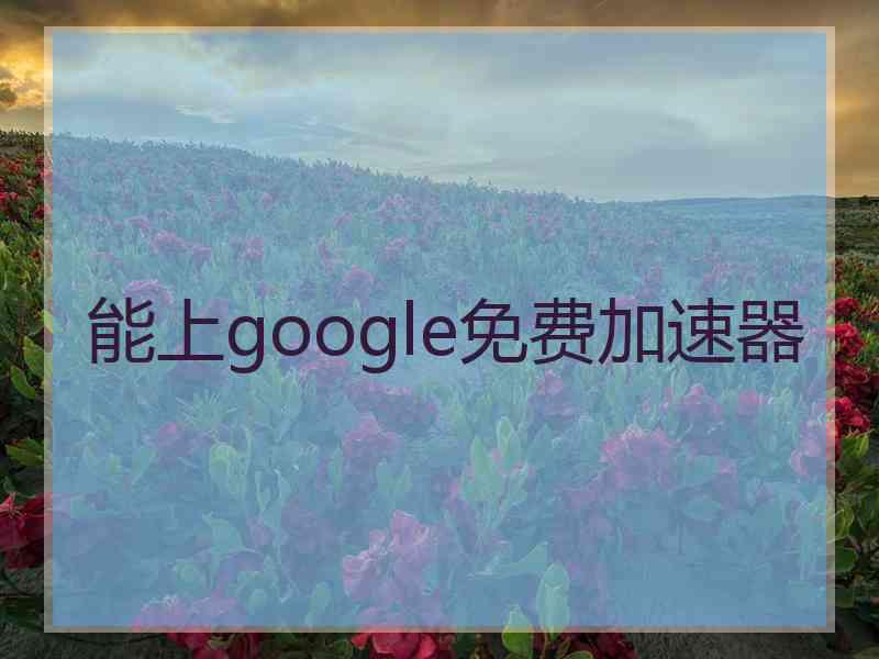 能上google免费加速器