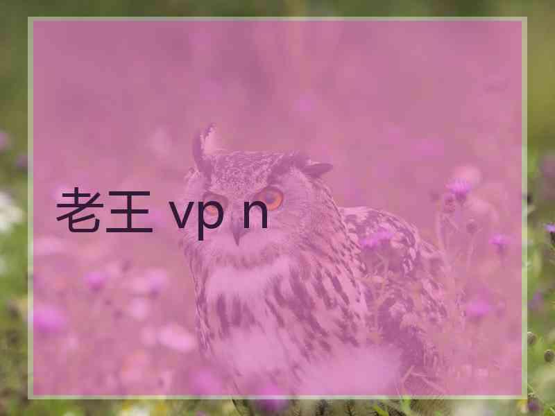 老王 vp n