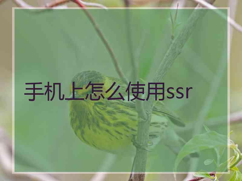 手机上怎么使用ssr