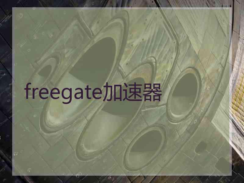 freegate加速器