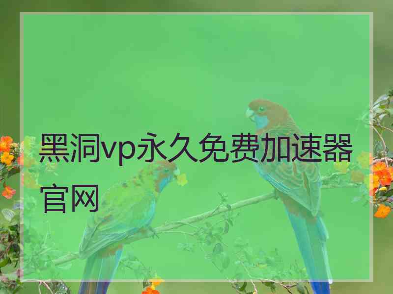 黑洞vp永久免费加速器官网