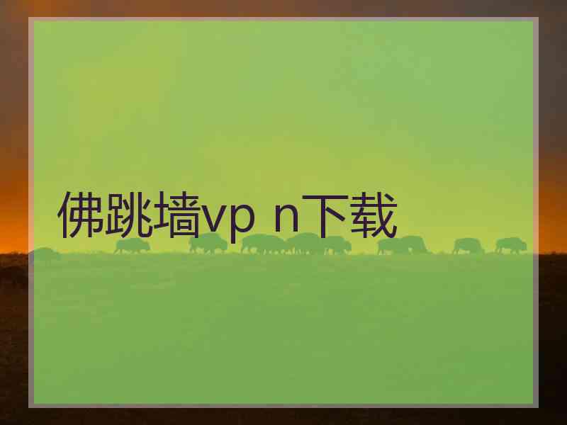 佛跳墙vp n下载