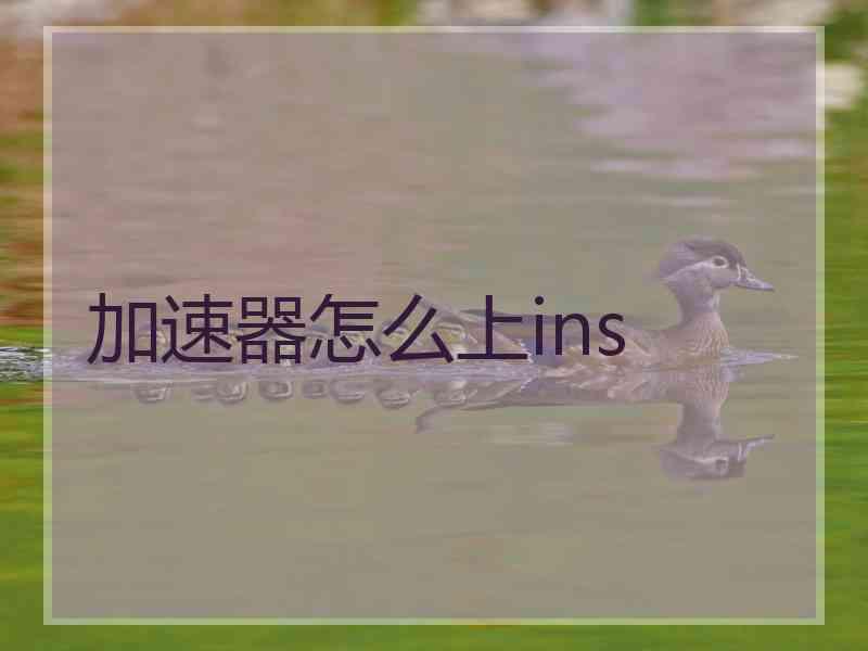 加速器怎么上ins