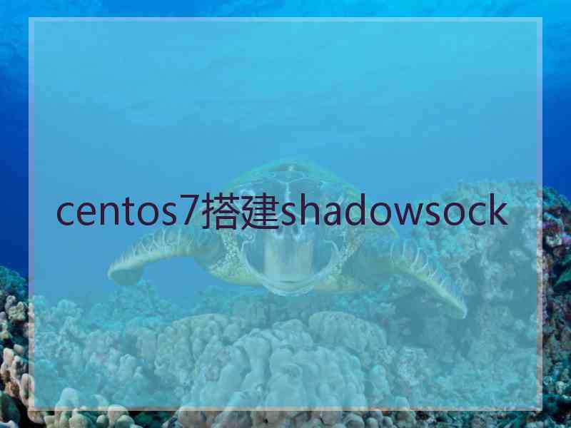 centos7搭建shadowsock