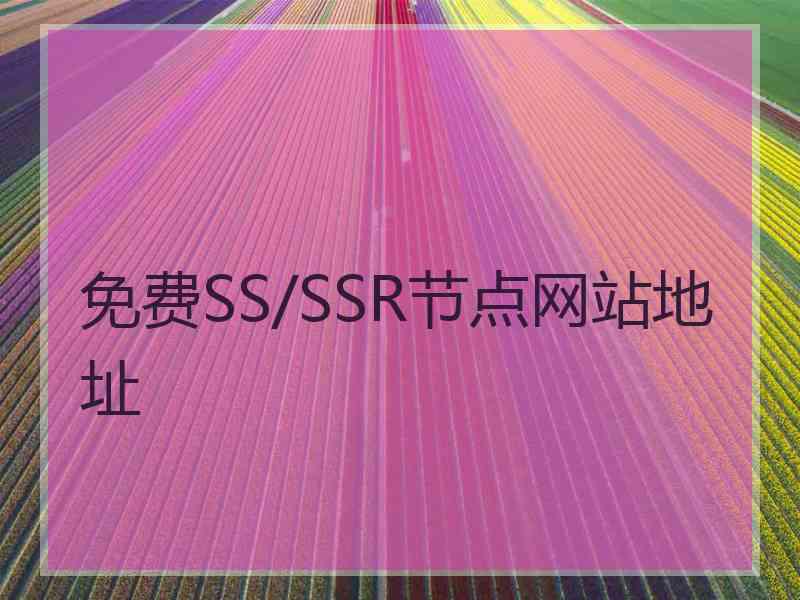 免费SS/SSR节点网站地址