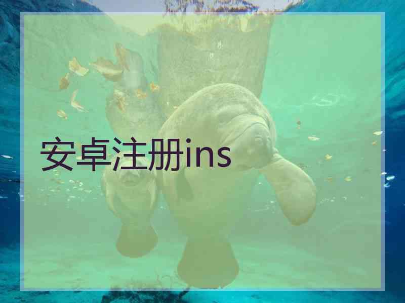 安卓注册ins