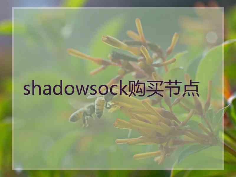 shadowsock购买节点