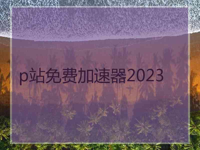 p站免费加速器2023