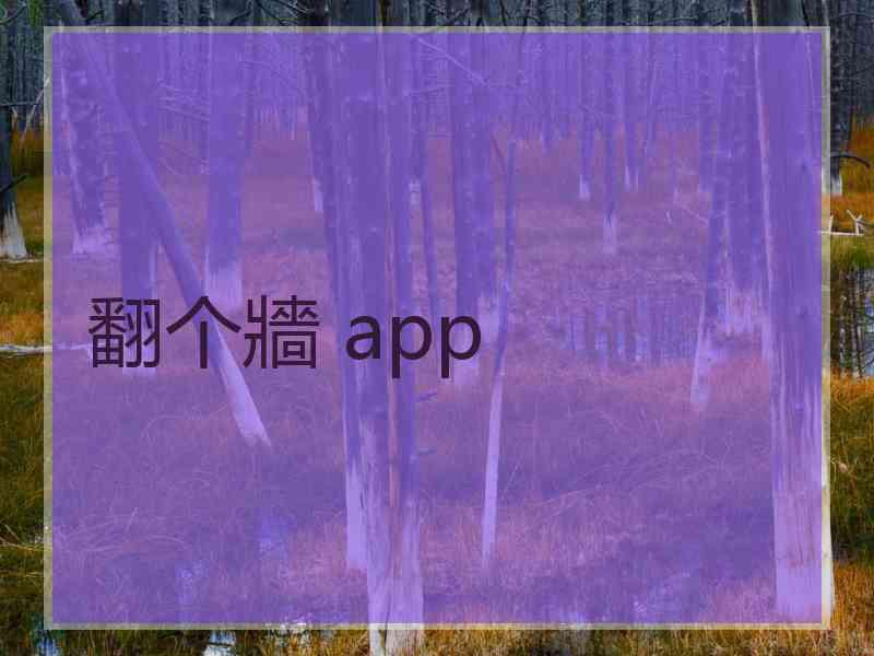 翻个牆 app