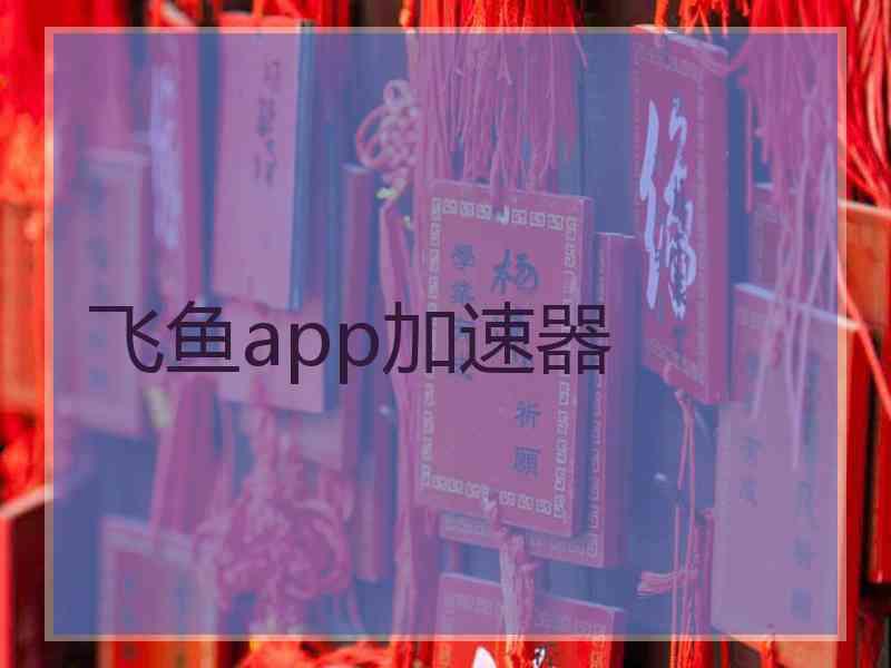 飞鱼app加速器