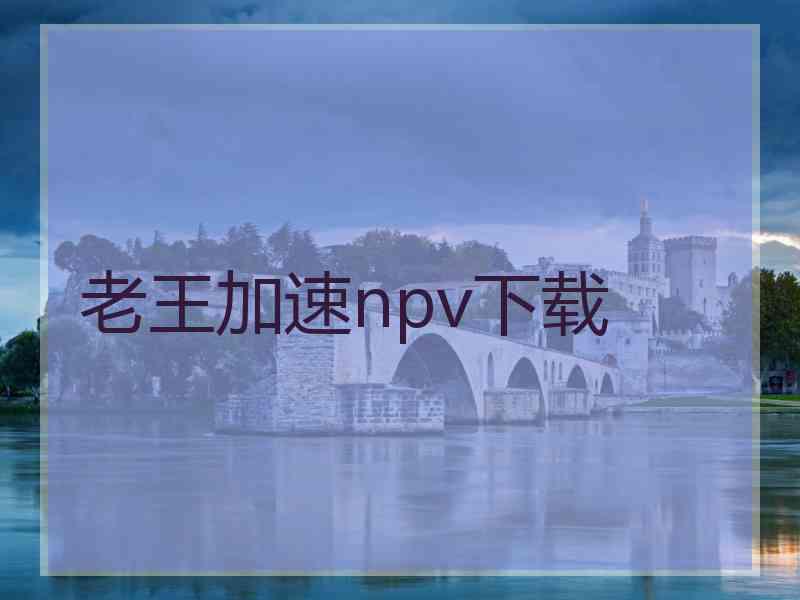 老王加速npv下载