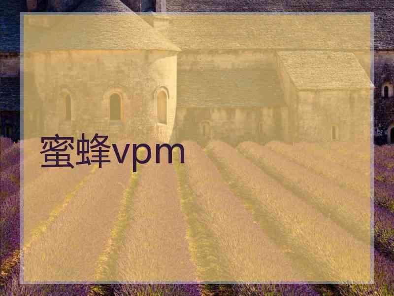 蜜蜂vpm