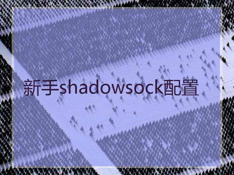 新手shadowsock配置