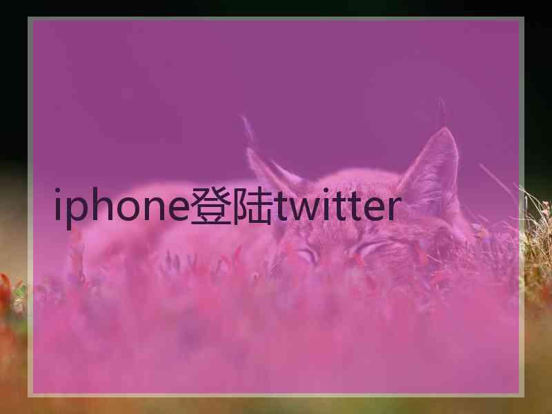 iphone登陆twitter