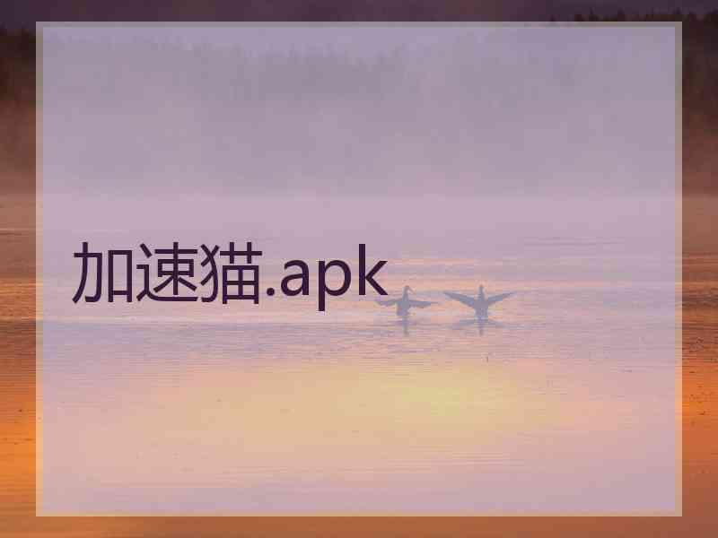 加速猫.apk