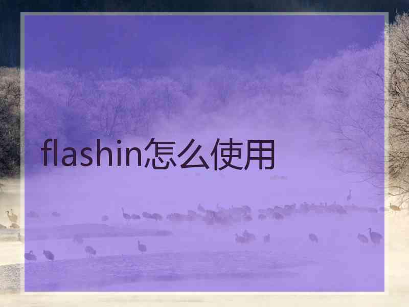 flashin怎么使用