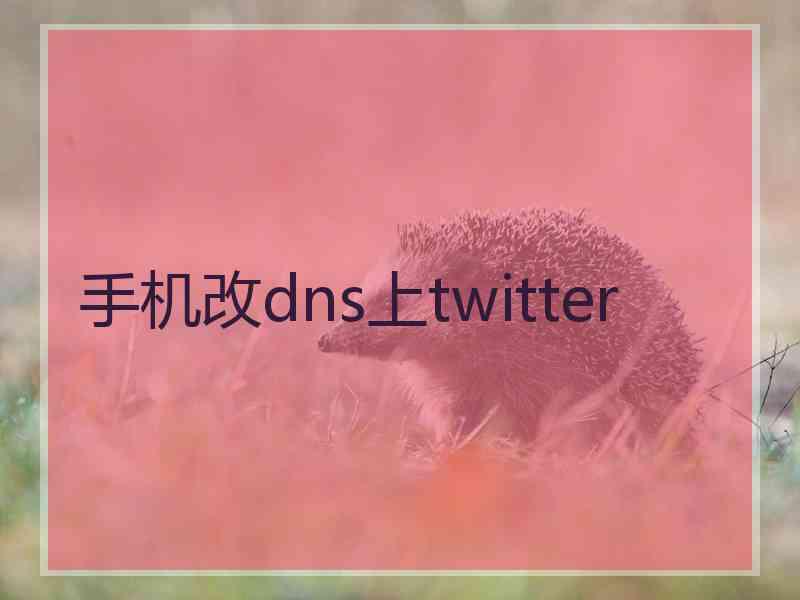 手机改dns上twitter