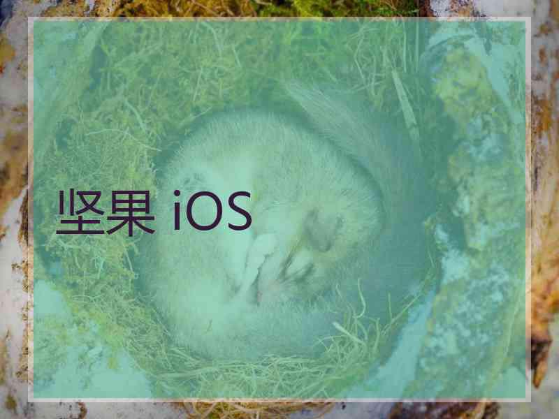 坚果 iOS