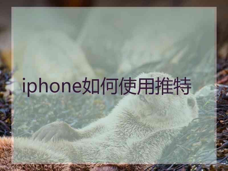 iphone如何使用推特