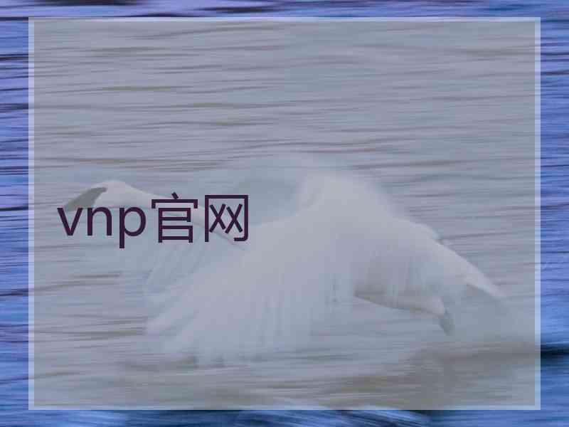 vnp官网