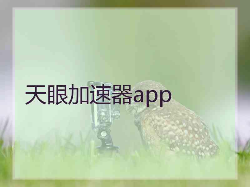 天眼加速器app