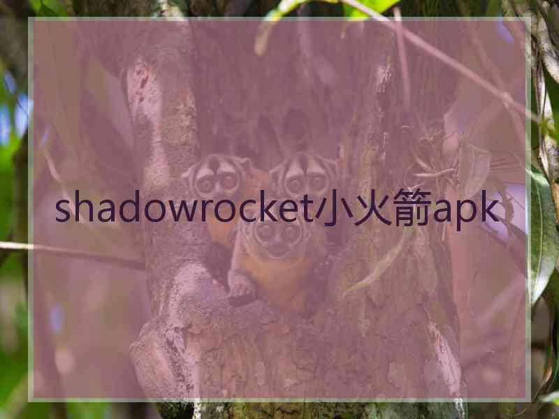 shadowrocket小火箭apk