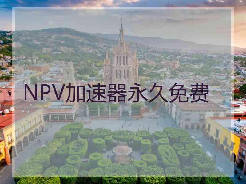 NPV加速器永久免费