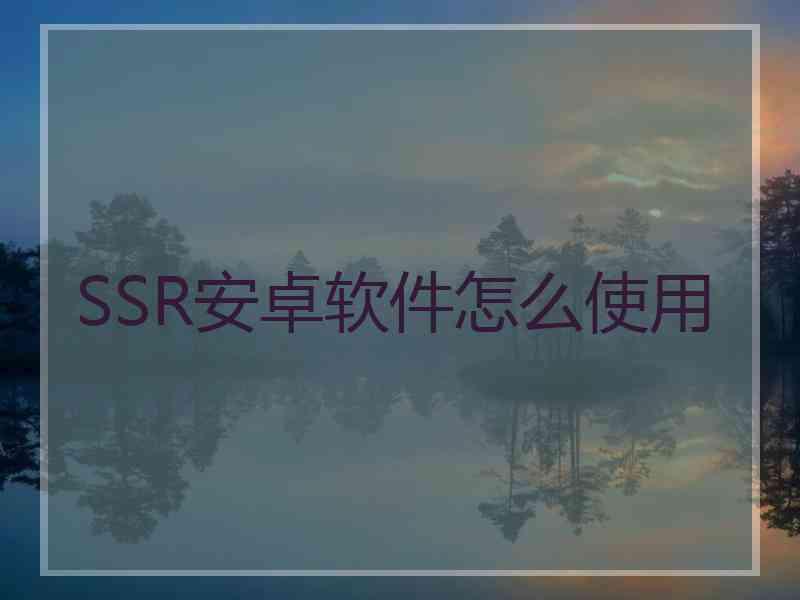 SSR安卓软件怎么使用