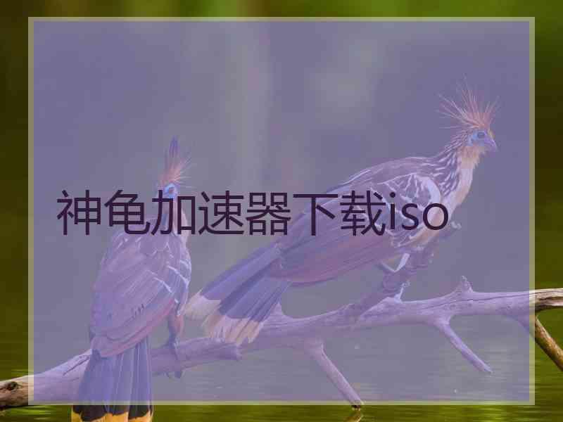 神龟加速器下载iso