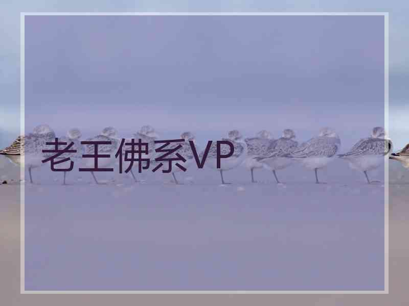 老王佛系VP