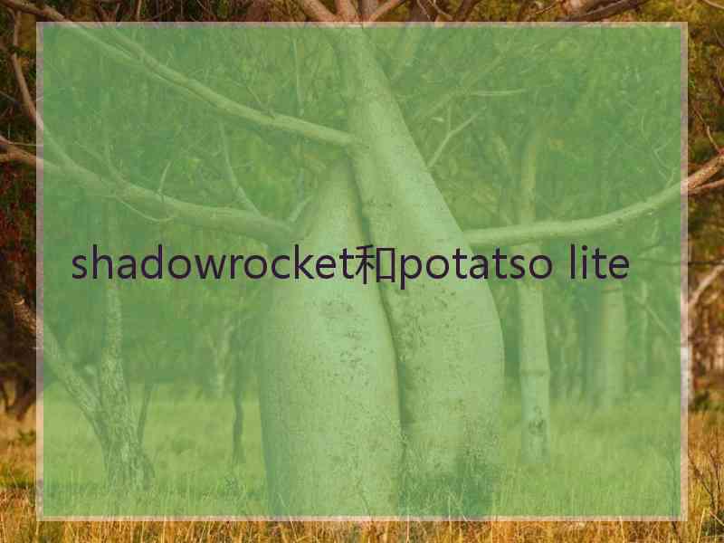 shadowrocket和potatso lite