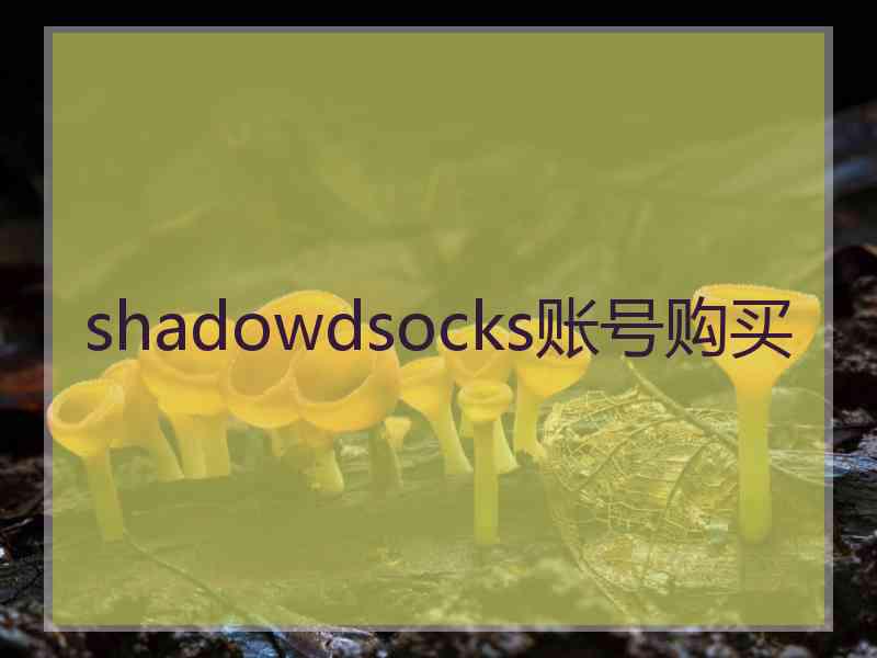 shadowdsocks账号购买